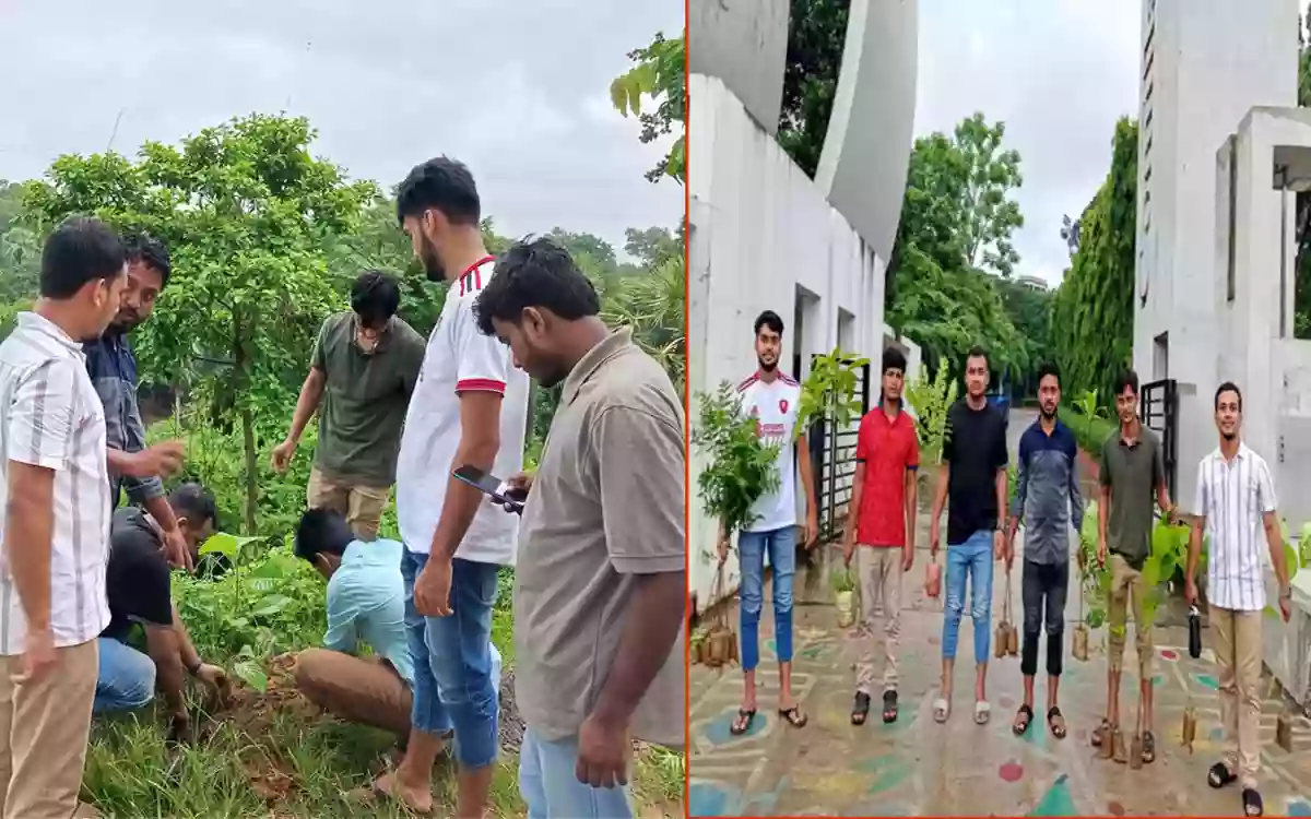 Rising Cumilla - Cumilla University Chhatra Dal plants trees on Dr. Zubaida Rahman's birthday