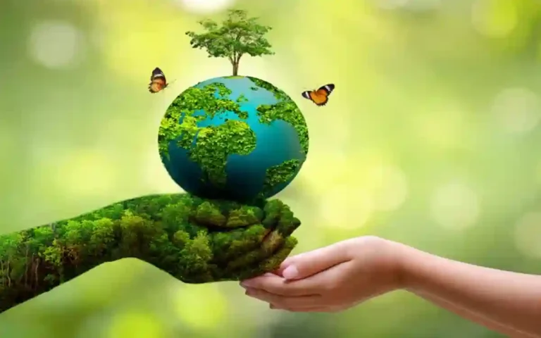 Rising Cumilla -Environment Day