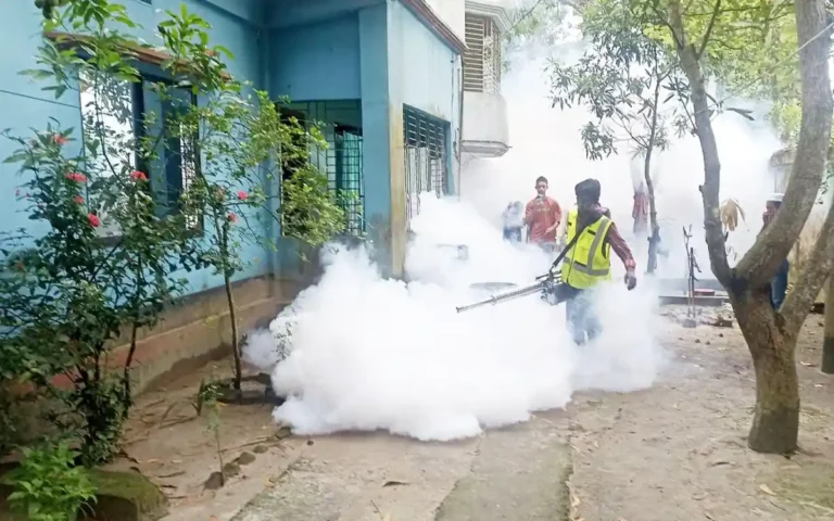 চান্দিনা পৌরসভায় মশক নিধন কার্যক্রম