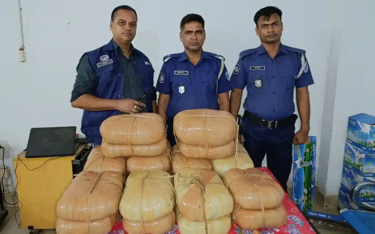 কসবায় পুলিশের অভিযানে ৪০ কেজি গাঁজা উদ্ধার