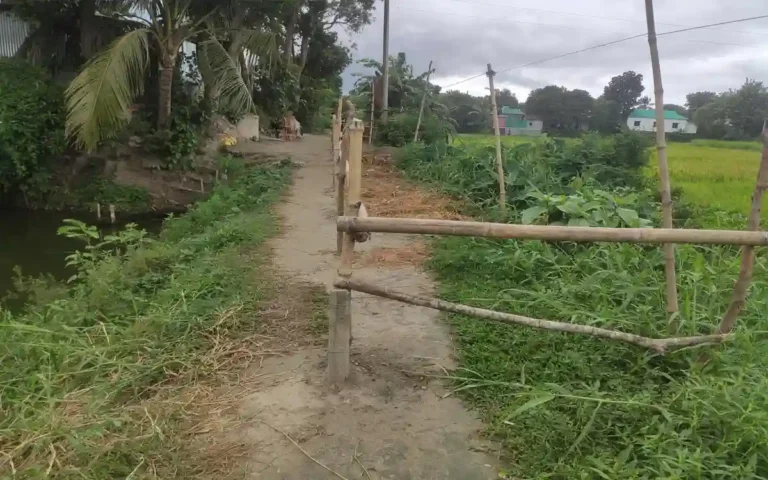 Rising Cumilla -AL leader's obscene Facebook post about journalists in news of bamboo fence on the road in Nabinagar!