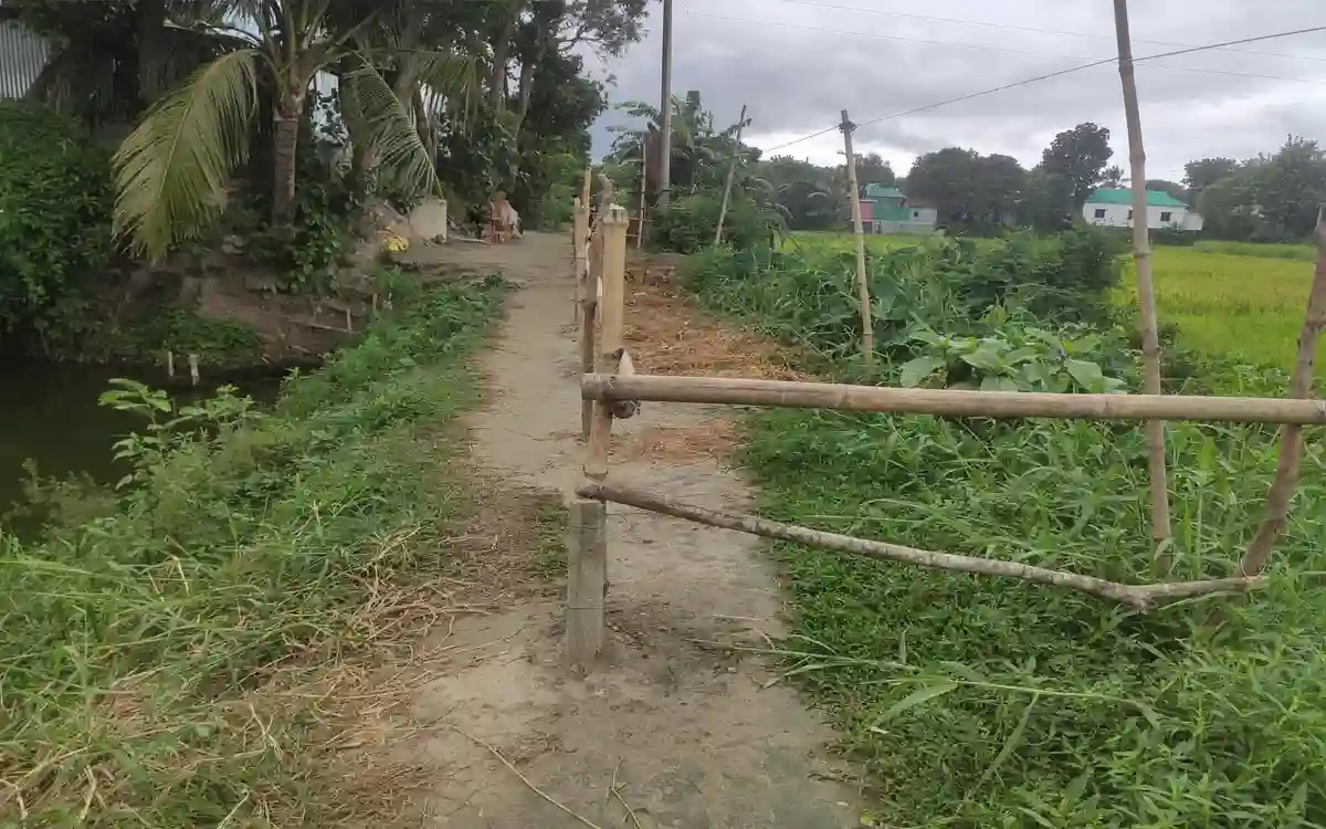 Rising Cumilla -AL leader's obscene Facebook post about journalists in news of bamboo fence on the road in Nabinagar!