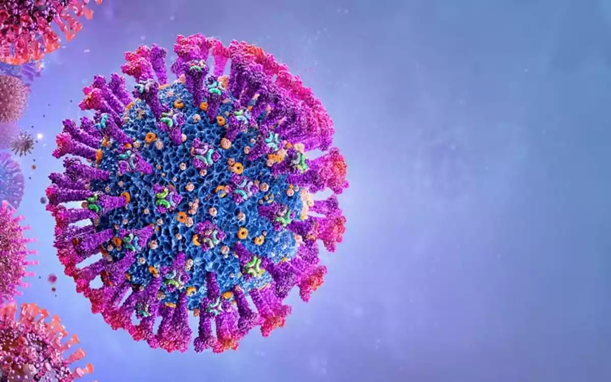 Rising Cumilla - Corona