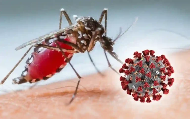 Rising Cumilla -Covid 19 and dengue