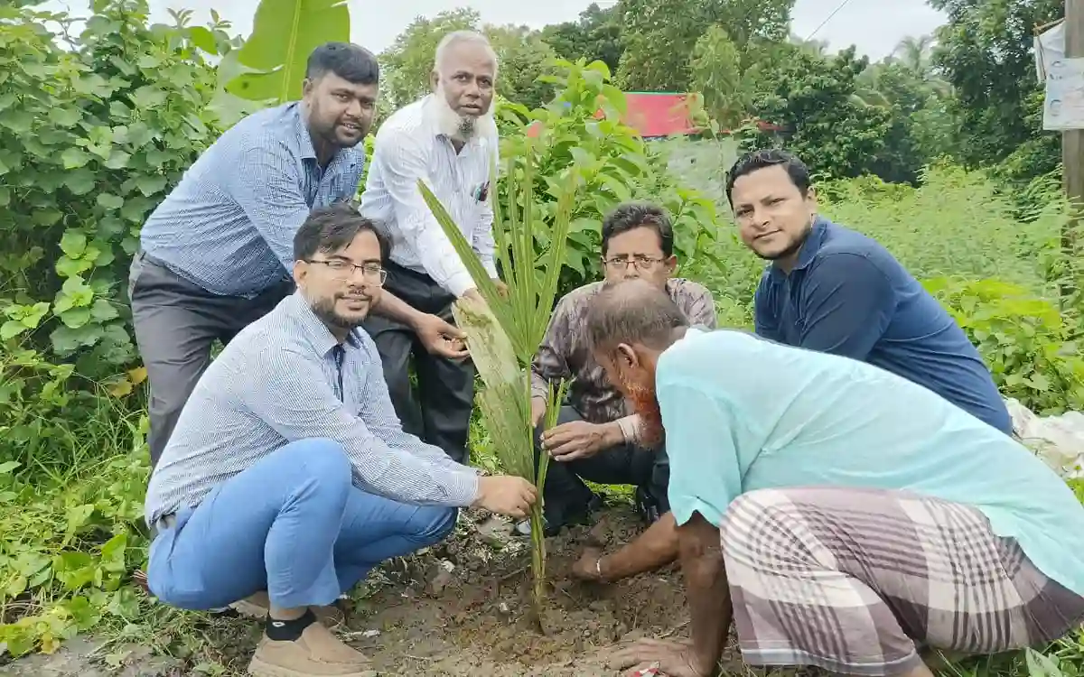 Rising Cumilla -Date palm sapling planting program inaugurated in Nabinagar