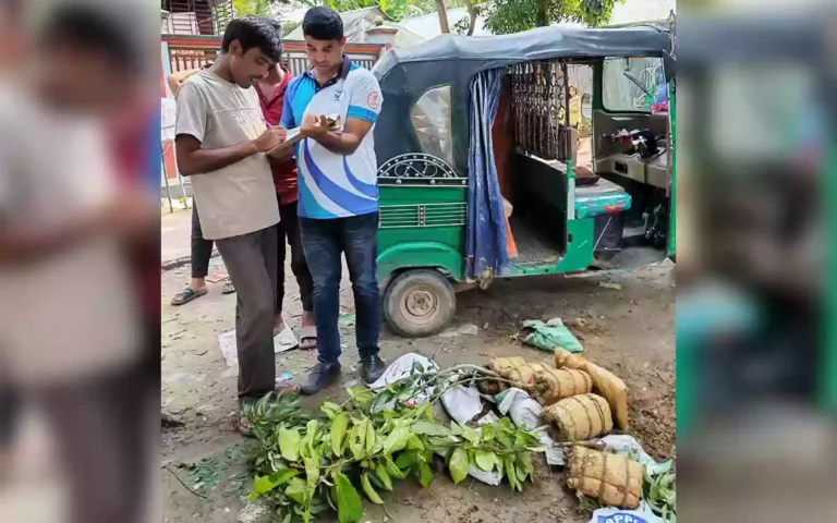 Drug smuggling in Comilla using innovative tactics, 6 kg of marijuana found hidden behind a fruit tree