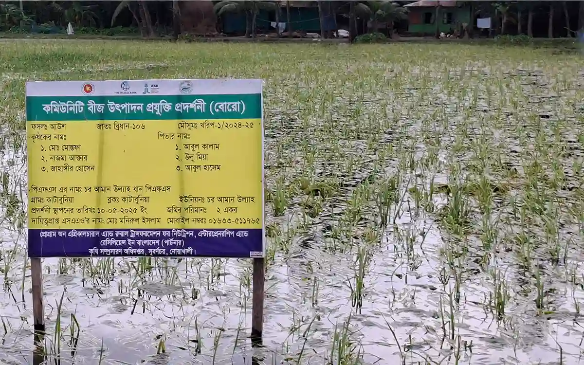 Rising Cumilla -Floods in Noakhali Extensive damage to vegetables as well as Aus and Aman rice