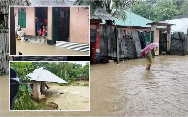 Rising Cumilla-Result-Advisory Council discusses flood situation in two districts