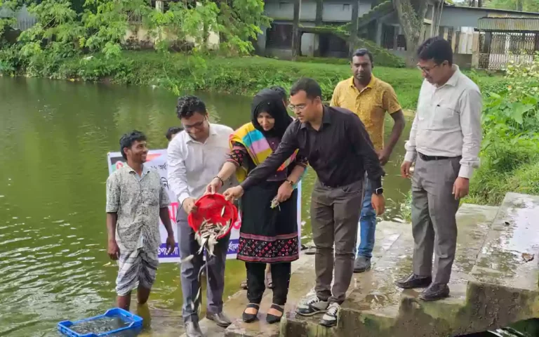 ‎ব্রাহ্মণপাড়ায় জাতীয় মৎস্য সপ্তাহ উপলক্ষে পুকুর ও জলাশয়ে পোনা মাছ অবমুক্ত