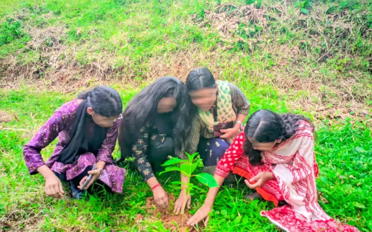 Rising Cumilla - Tree plantation by students
