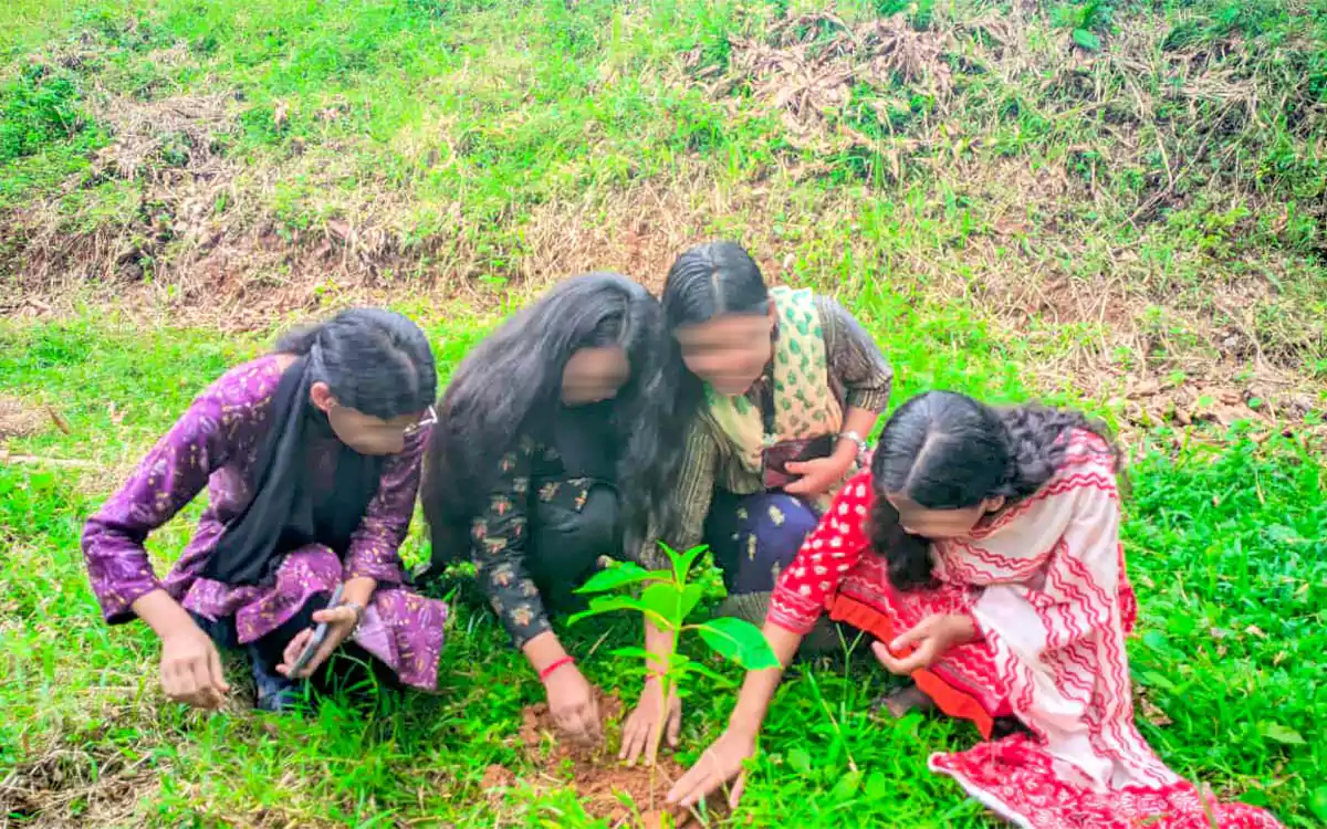 Rising Cumilla - Tree plantation by students