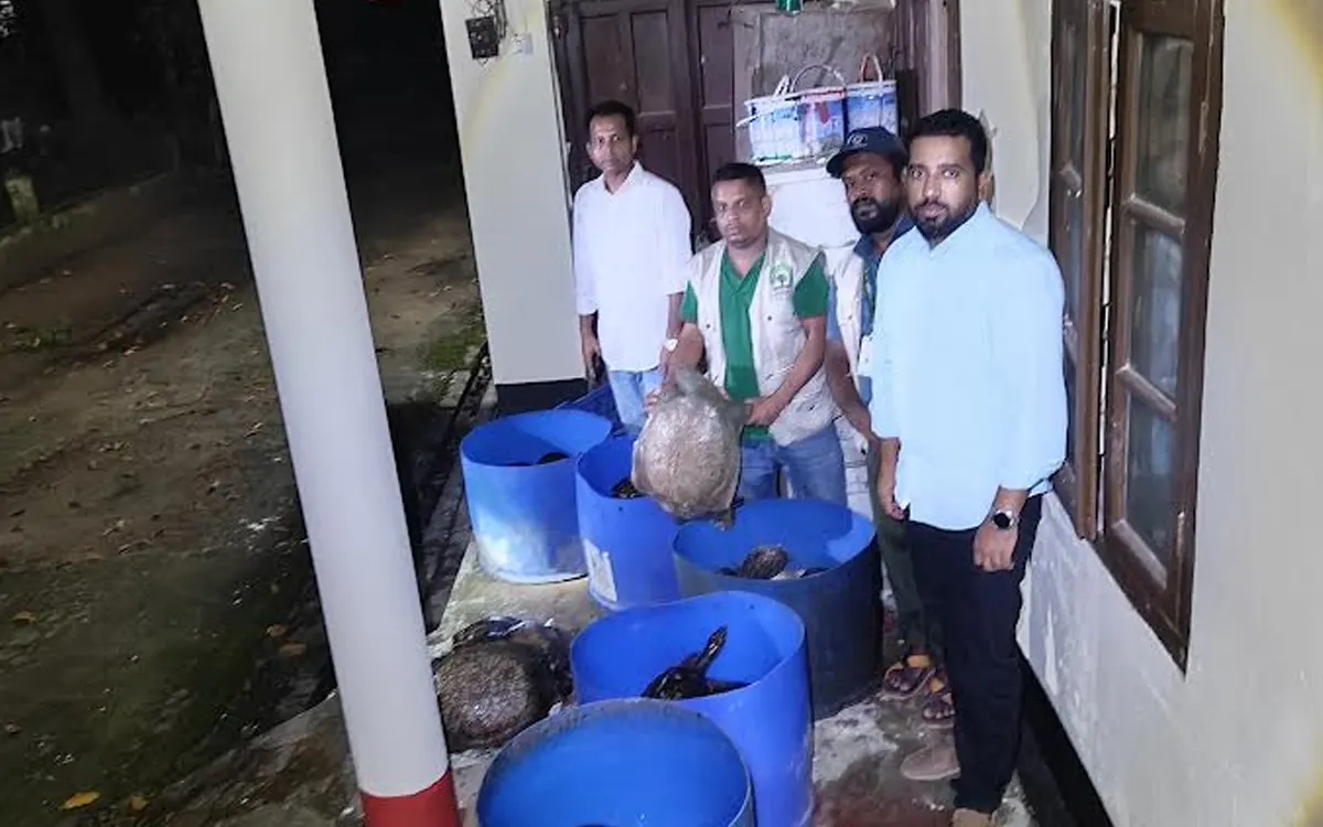 নোয়াখালীতে ৪২৫ কচ্ছপ উদ্ধার