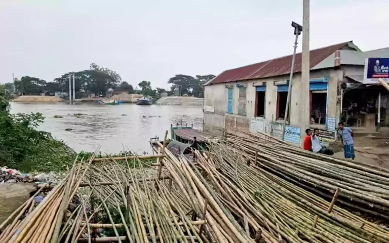 সরাইলে বাঁশের নীচে চাপা পরে আছে ৬৫ লাখ টাকার ঘাট, উচ্ছেদের পর আবারও দখল