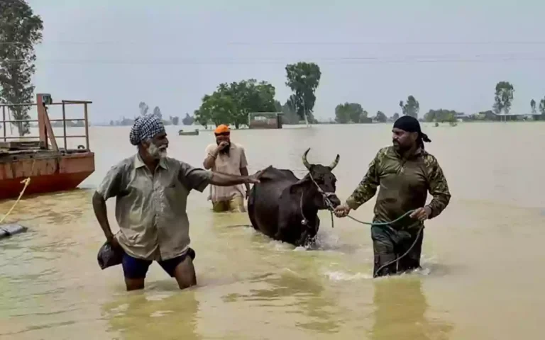 Rising Cumilla - Floods in Punjab