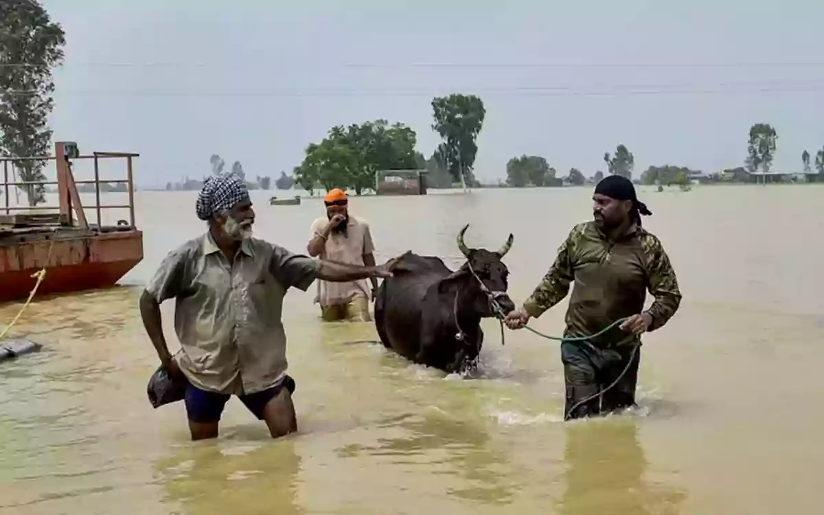 Rising Cumilla - Floods in Punjab