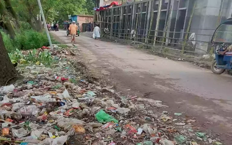 Garbage dump next to Badarpur Bazar and Madrasa in Chandina