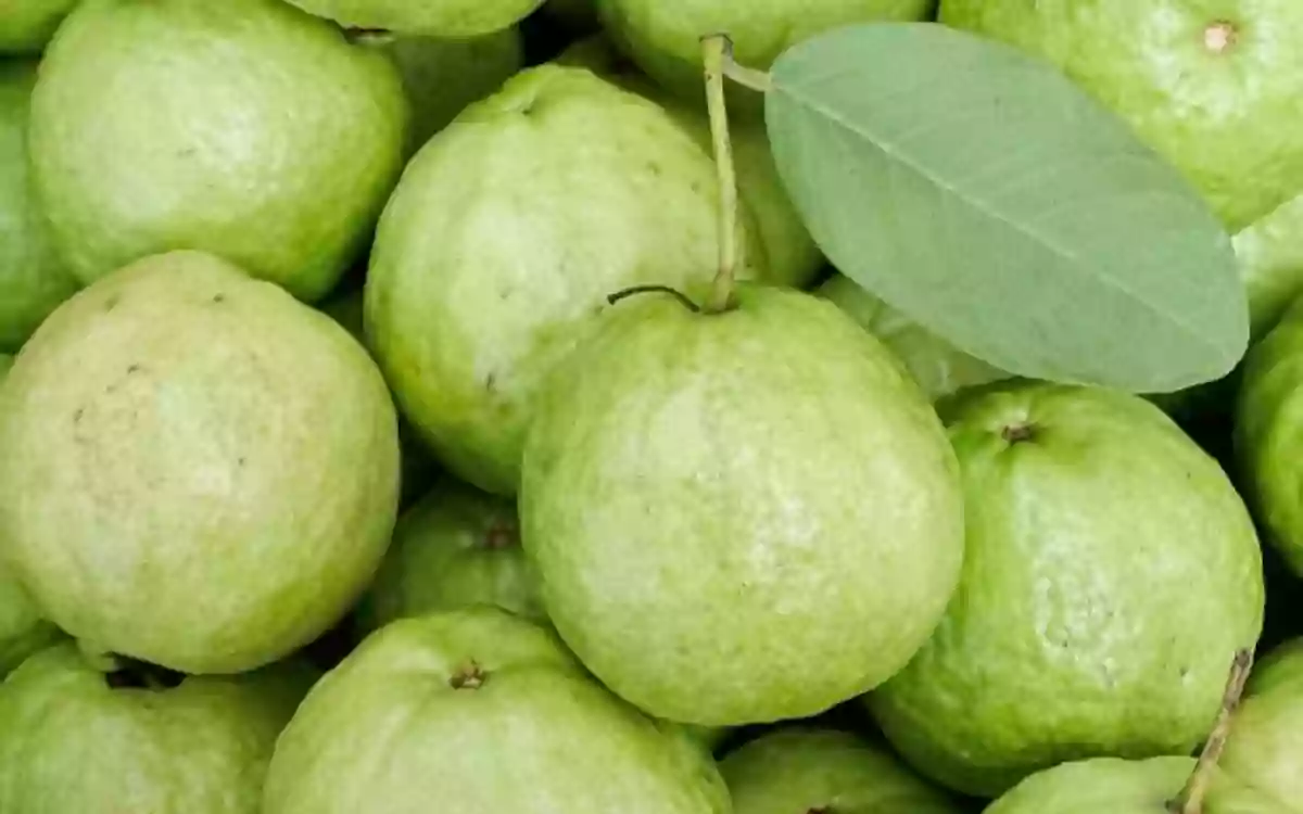 Rising Cumilla - Guava