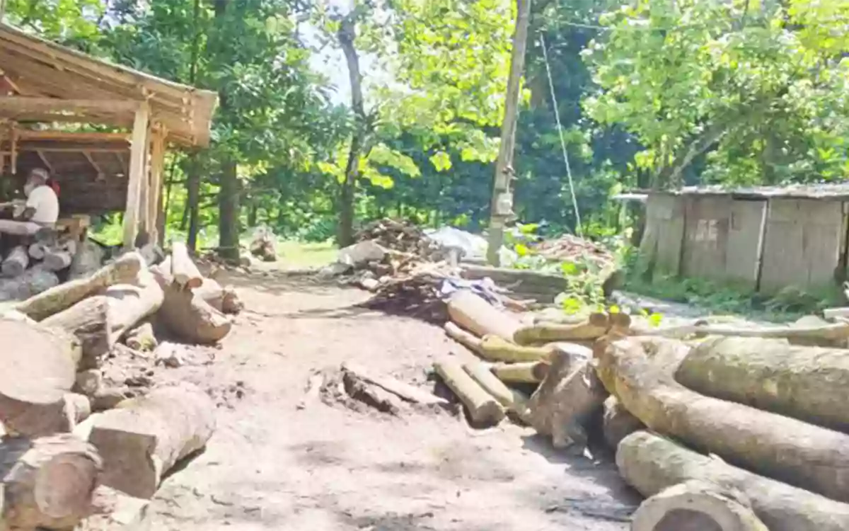 Rising Cumilla - Saw mill business encroaches on government canal in Chandina, Comilla