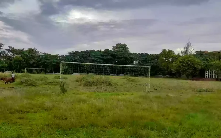 Slow progress in field renovations, classes are being held outside in the batting area