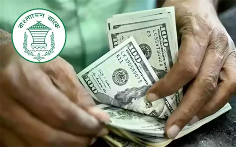 Rising Cumilla - remittance