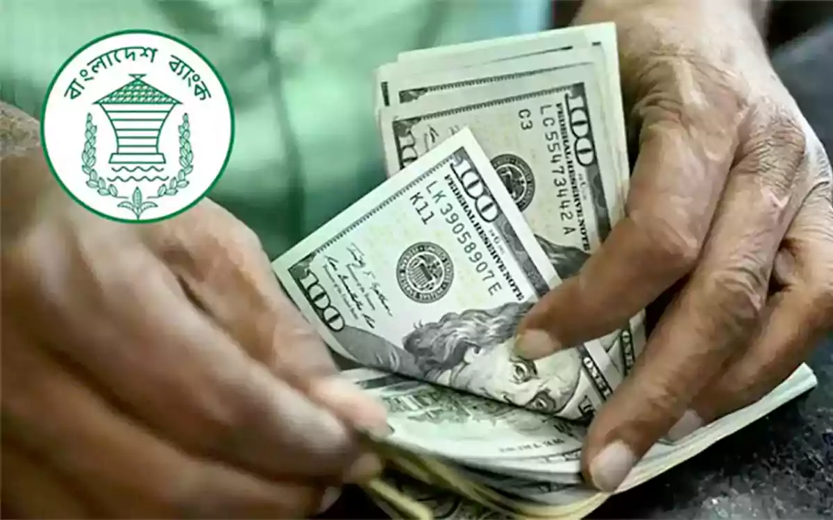 Rising Cumilla - remittance