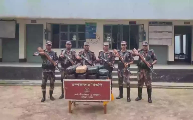 Rising Cumilla - BGB seizes huge quantity of Indian marijuana and liquor at Feni border