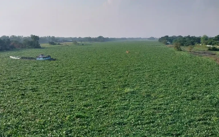 Rising Cumilla -Dhanagoda River
