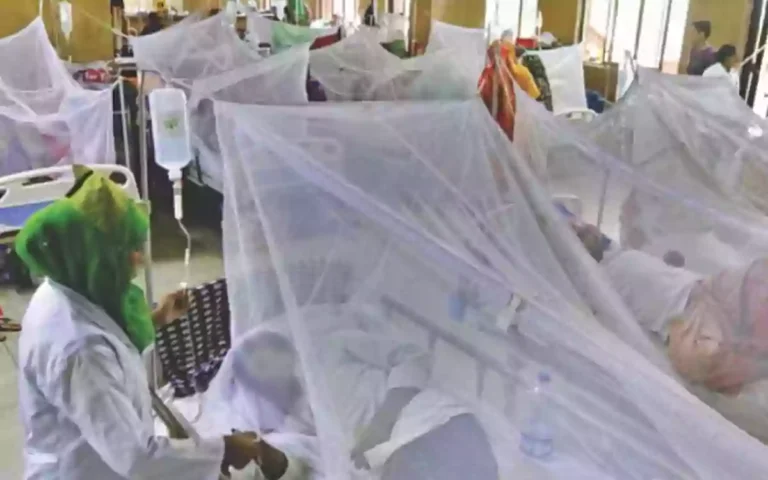 Rising Cumilla - dengue