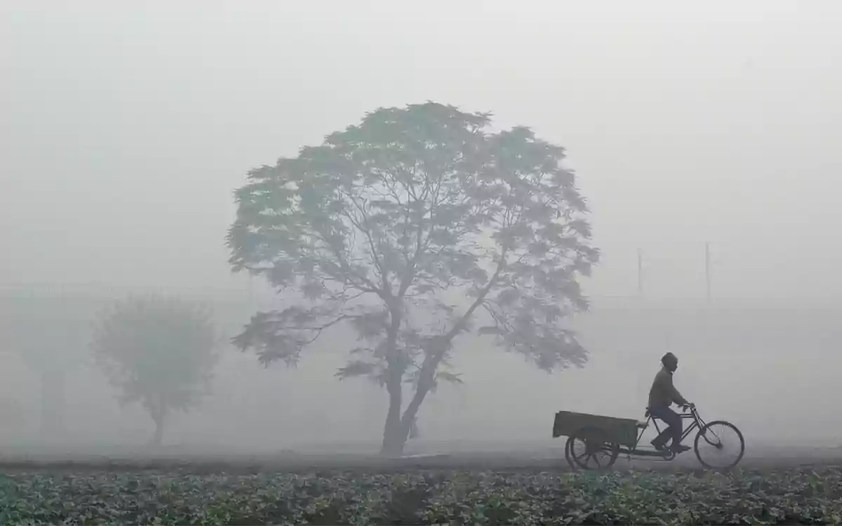 Rising Cumilla - winter