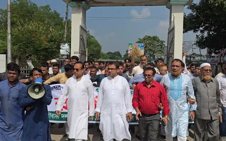 মেঘনা উপজেলায় বিপ্লব ও সংহতি দিবসে বিএনপির বর্ণাঢ্য র‌্যালি