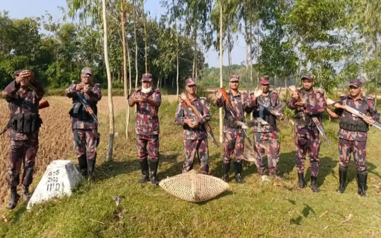 Rising Cumilla -BGB rescues and frees 90 birds from poachers' traps in Feni