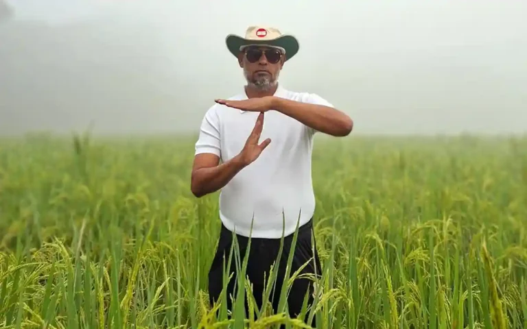 Rising Cumilla -BNP nomination candidate stands in paddy field in Feni to file 'review petition'