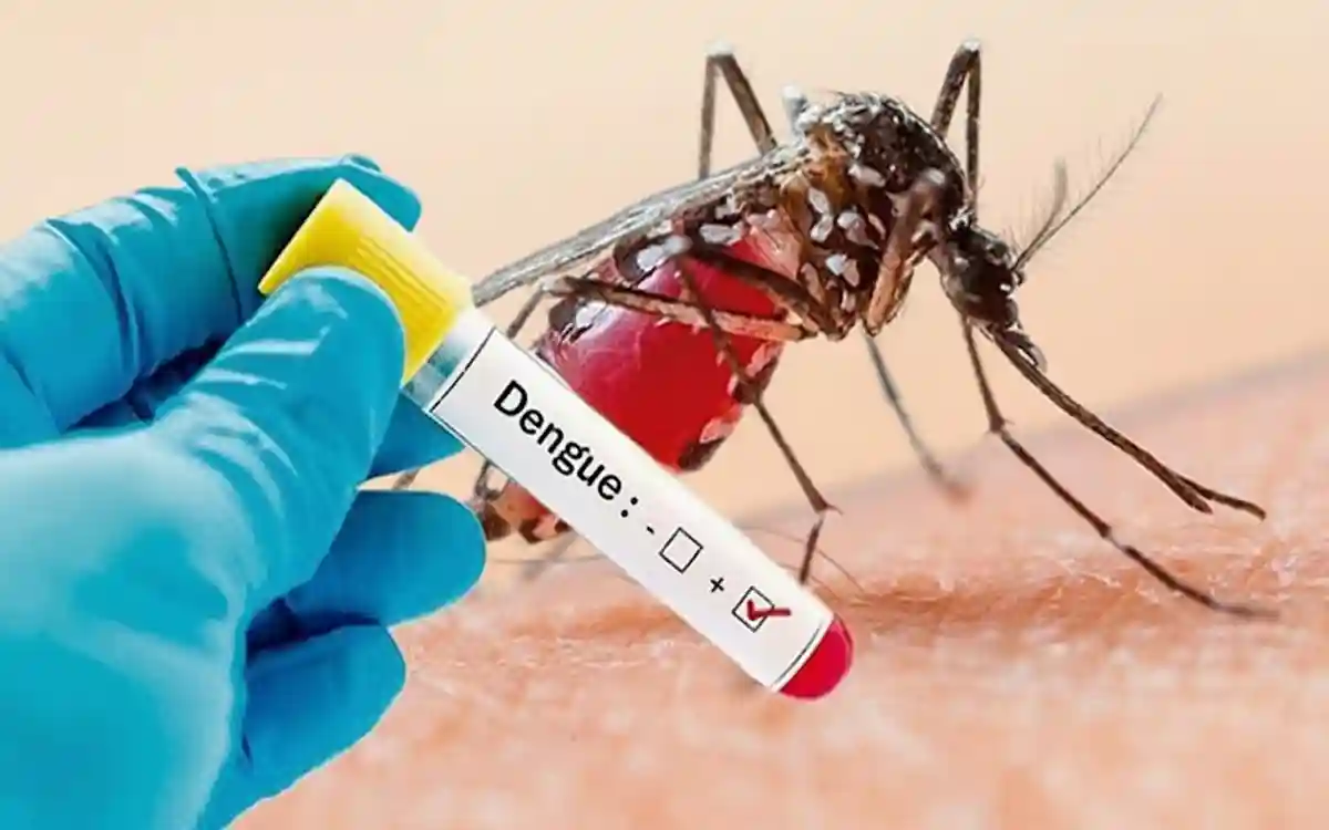 Rising Cumilla -Dengue