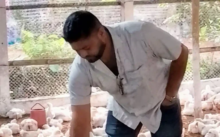 Rising Cumilla -Fortune turned to poultry farm The story of the rise of Chandina's Russell government