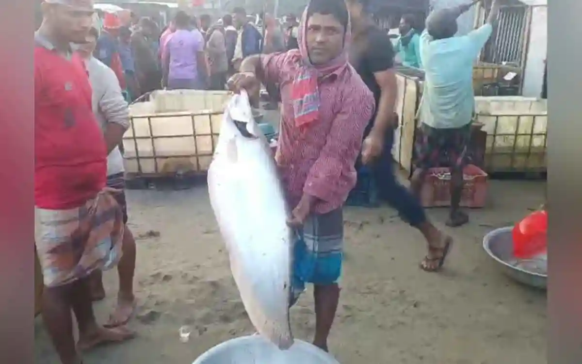 Rising Cumilla - Nearly 9 kg of chital seized in Brahmanbaria jail