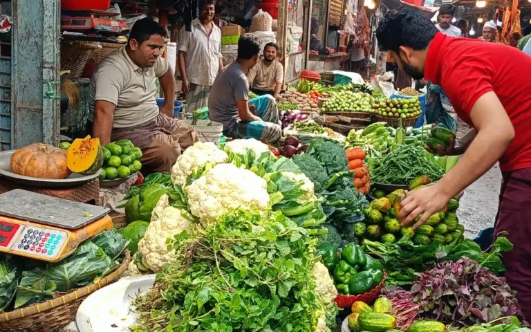 Rising Cumilla -Rajganj Bazar Comilla