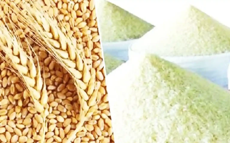 Rising Cumilla -Rice and wheat