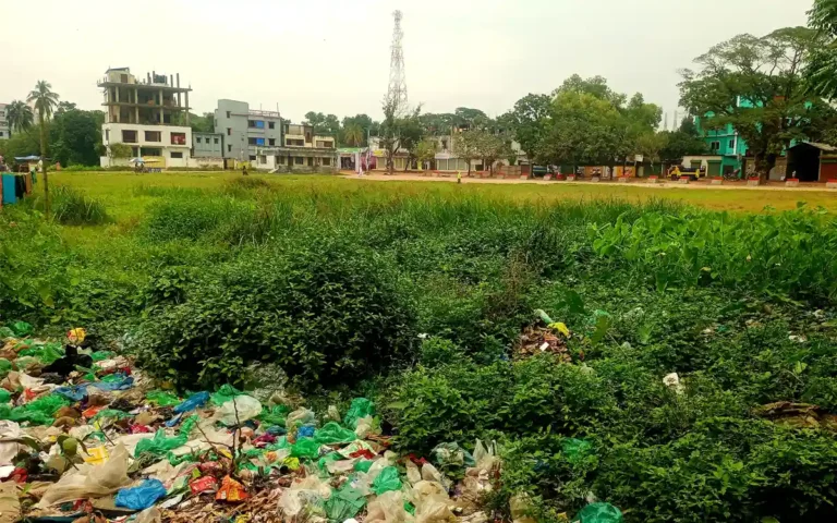 Rising Cumilla -The ball has stopped, weeds have grown, Chandina Mini Stadium is now a pasture for cows and goats