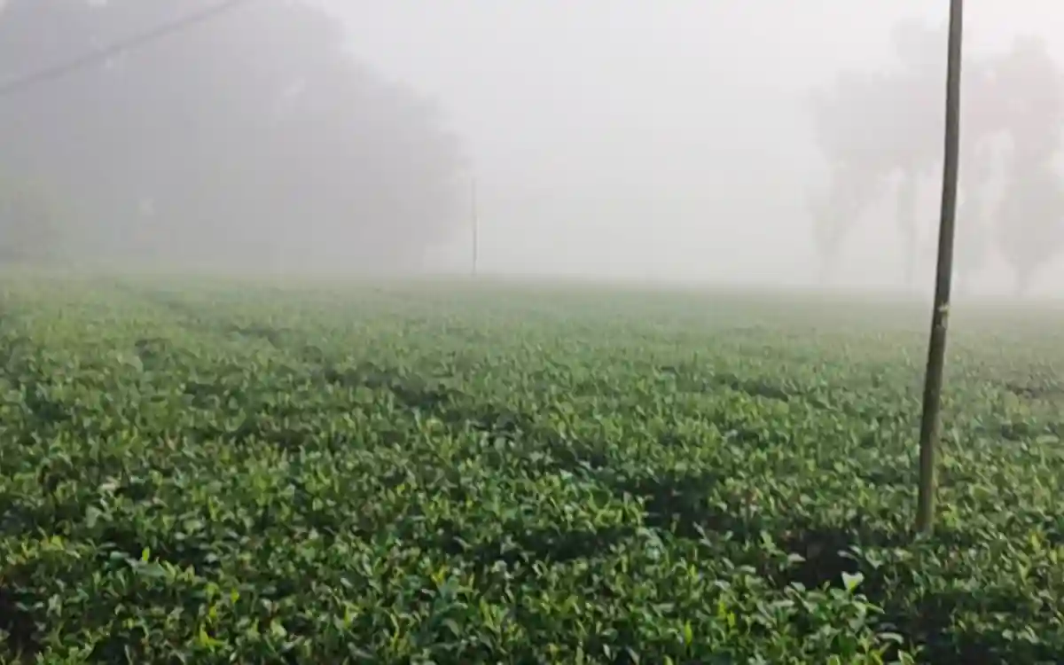 Rising Cumilla -Winter clothing stores in Panchagarh are getting crowded with people as winter approaches