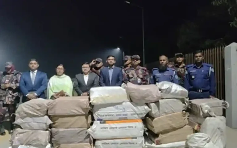 Rising Cumilla - BGB seizes illegal goods worth Tk 8.7 million in Comilla border operation