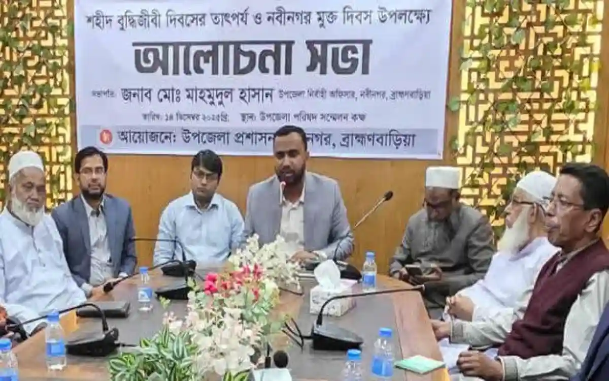 Rising Cumilla - Brahmanbaria's Nabinagar Liberation Day and Intellectuals' Day celebrated