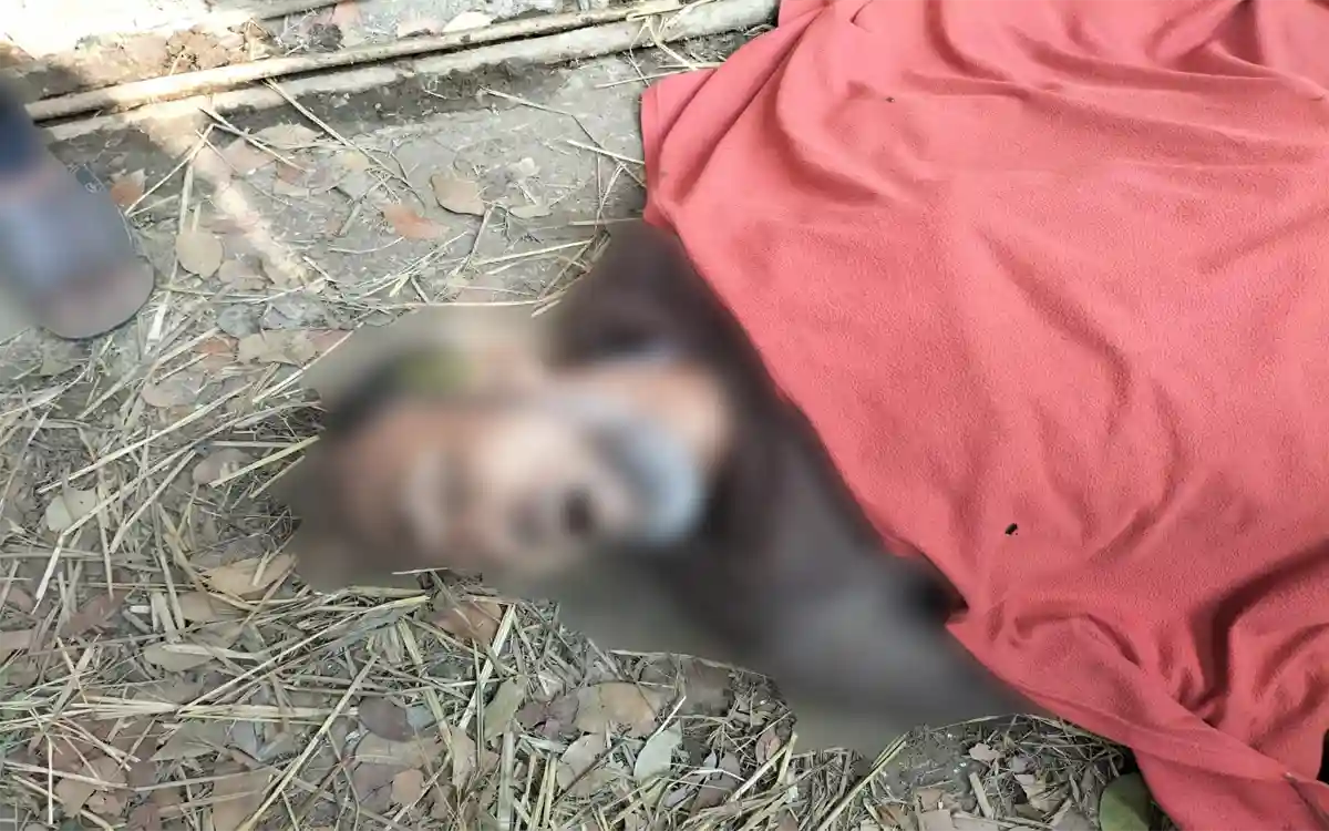 Rising Cumilla - Elderly man lynched to death on suspicion of theft in Nabinagar, Brahmanbaria