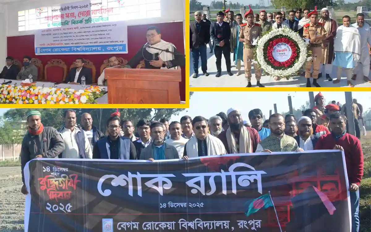 Rising Cumilla - Martyred Intellectuals Day celebrated with due dignity in Berobi