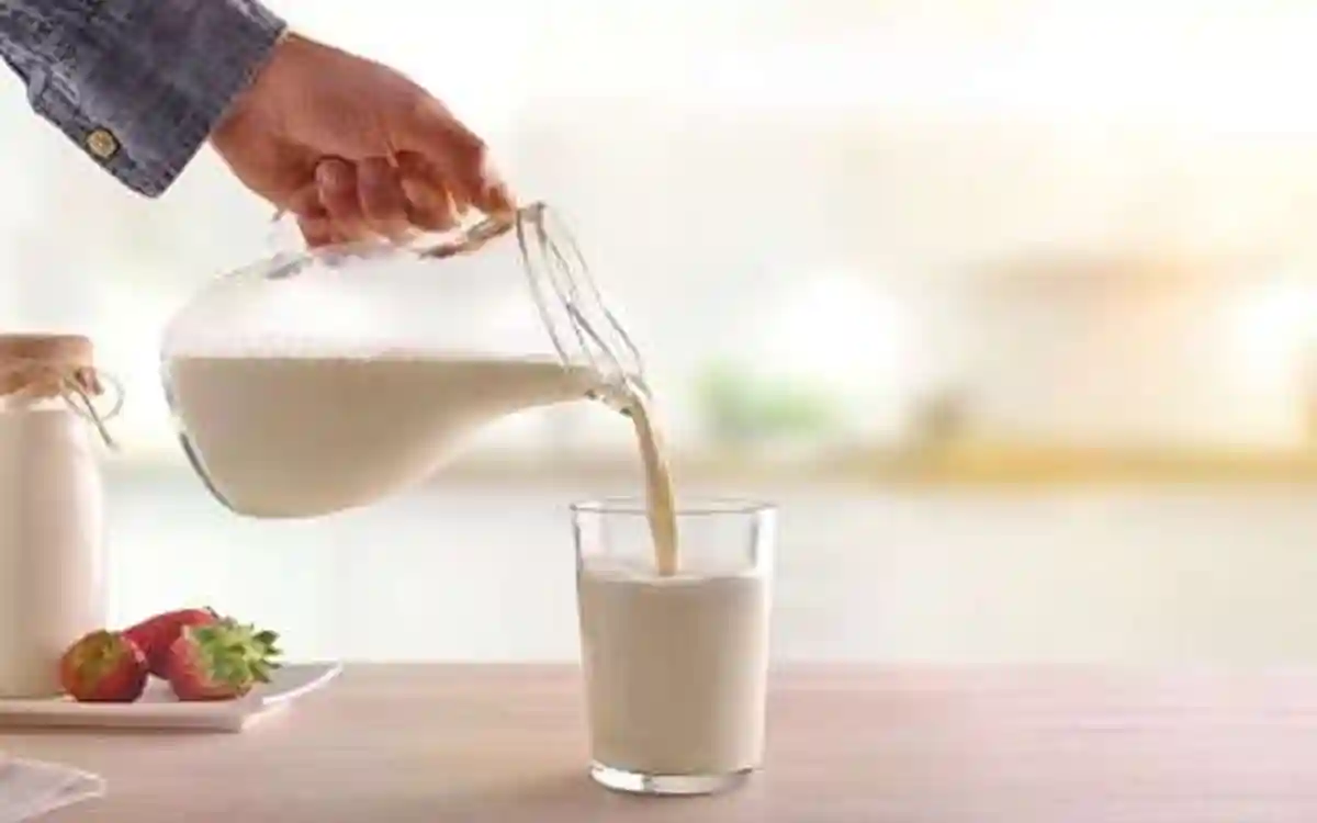 Rising Cumilla - Nutritious milk, how it helps in weight loss