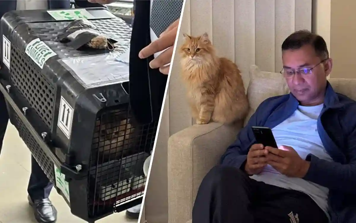 Rising Cumilla - Tarique Rahman & Zebu