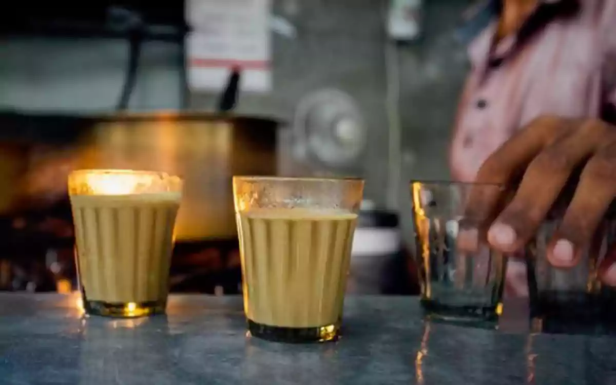 বন্ধু-আড্ডা, কুয়াশা আর ধোঁয়া ওঠা এক কাপ চা—শীতের ভিন্ন রূপ