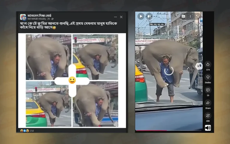 থাইল্যান্ডে হাতি কাঁধে বহনের দাবিতে ভাইরাল ভিডিওটি এআই দিয়ে তৈরি