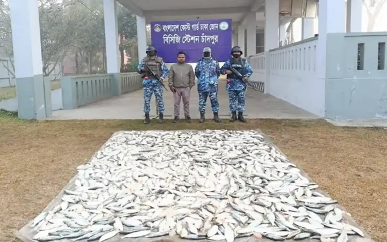 Rising Cumilla - 350 kg of jatka seized in Chandpur jatka protection drive