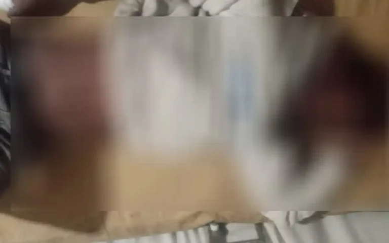 Rising Cumilla - Auto-rickshaw-pickup van collide head-on in Chandpur, 1 dead