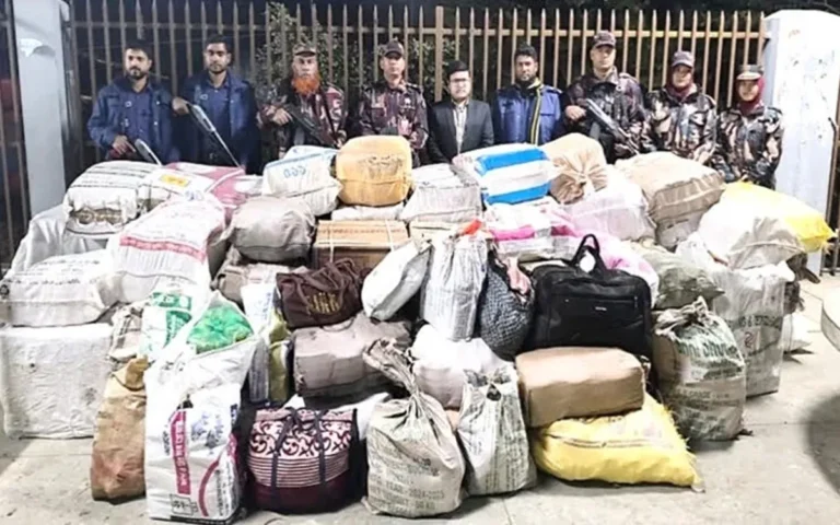 Rising Cumilla - Indian goods worth around Tk 1.86 crore seized at Comilla border